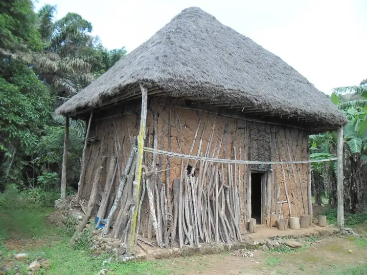 Traditional House