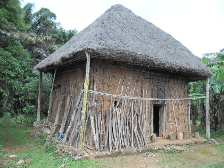 Traditional House