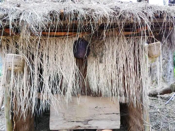 The Royal Talking drum 