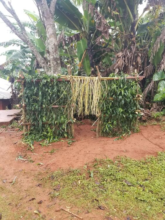 Bambili Traditional Shrine